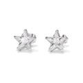 Star CZ Stainless Steel Stud Butterfly Earrings Back Earring