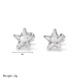 Star CZ Stainless Steel Stud Butterfly Earrings Back Earring